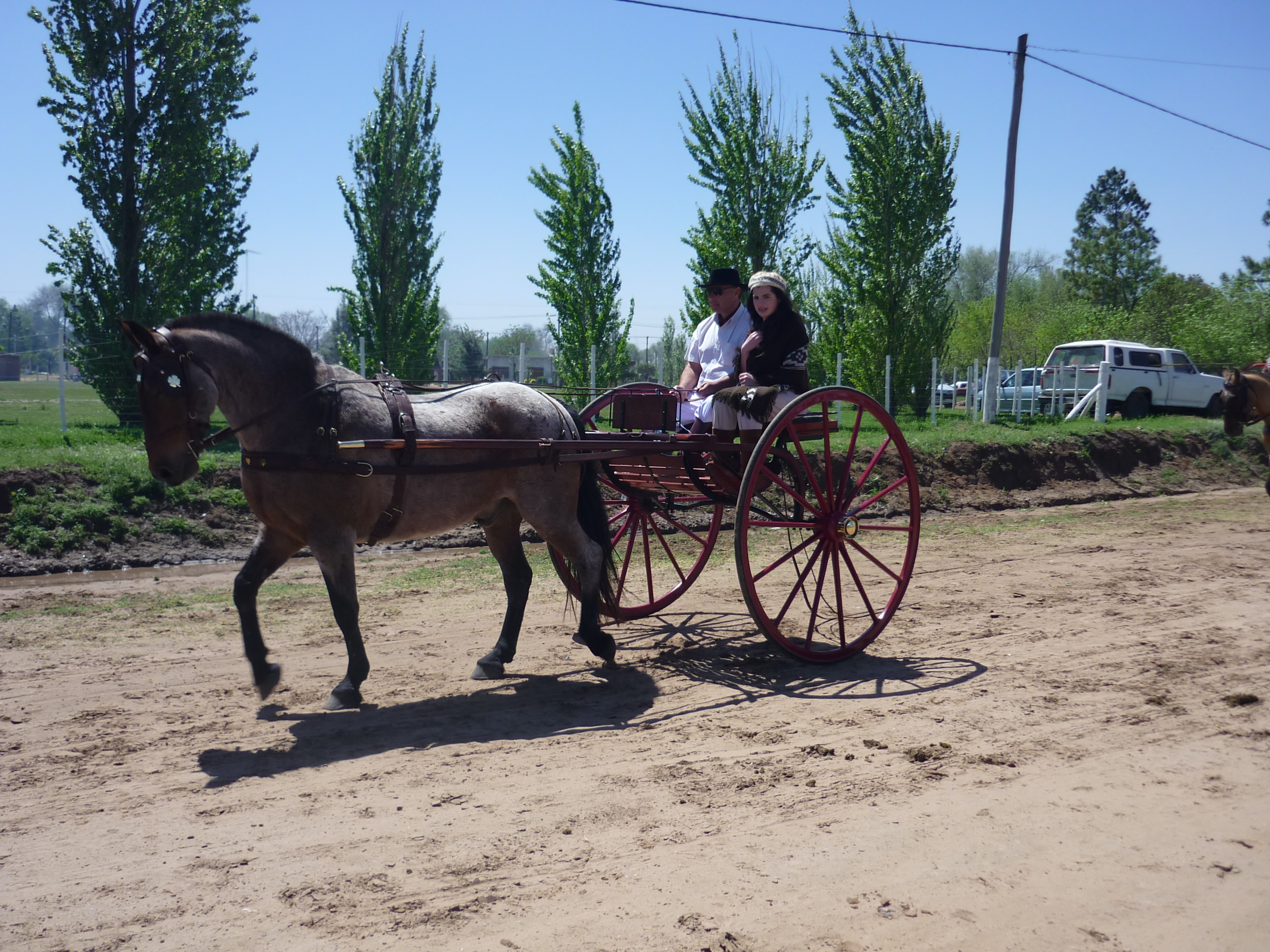 fotos/2009-10-11 - Fiesta del Cordero/P1000419.JPG